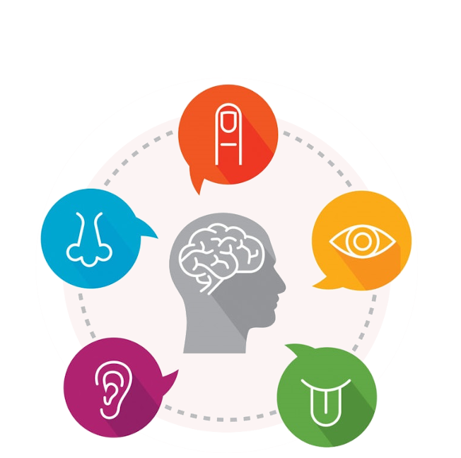 First Vector Graphic